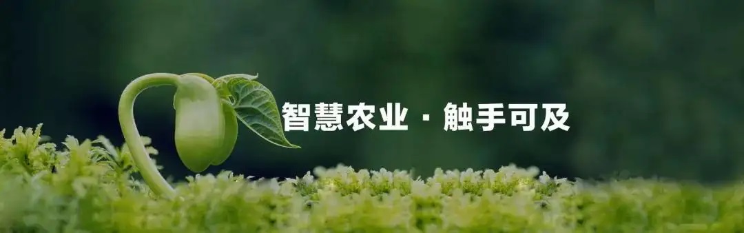 智慧農(nóng)業(yè) 智慧農(nóng)業(yè)