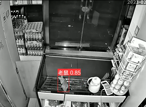 智能老鼠識(shí)別算法 智能老鼠識(shí)別算法